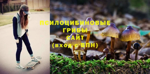 индика Балахна