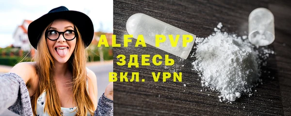 индика Балахна