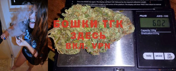 индика Балахна