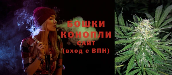 индика Балахна