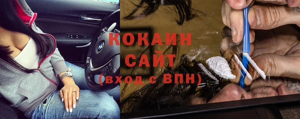 индика Балахна