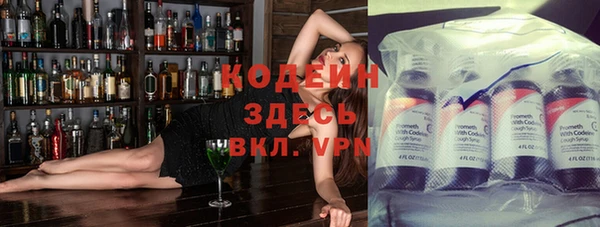 индика Балахна