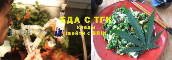 индика Балахна