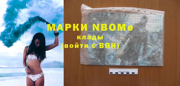 индика Балахна