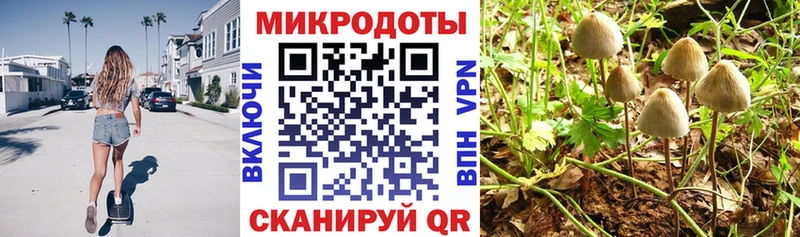 Псилоцибиновые грибы GOLDEN TEACHER  цены   Фокино 